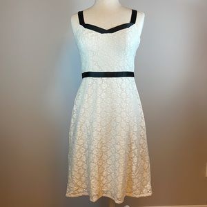 Ann Taylor Loft Dress